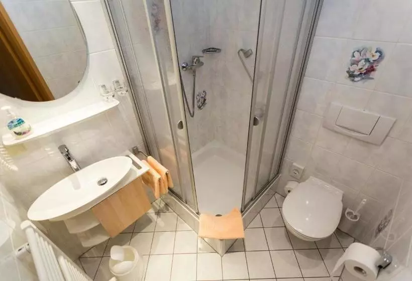 Hotelli Und Restaurant Karpfenschänke