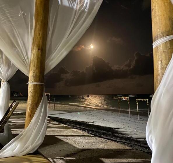 پانسیون Barra Lounge