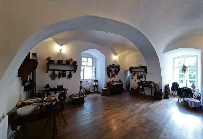 פנסיון Penzion Hradu Svojanov