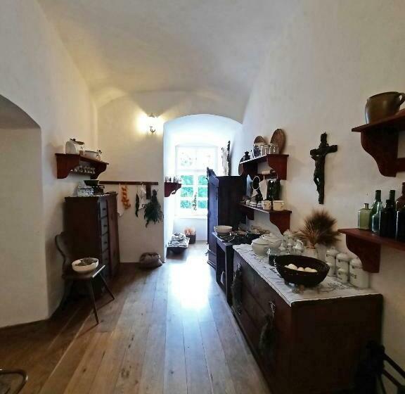 פנסיון Penzion Hradu Svojanov