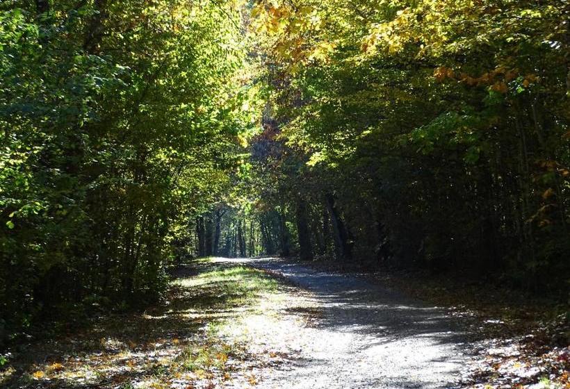 צימר Château De La Redortière