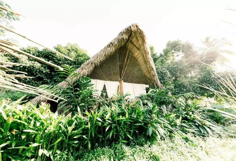 Ganesh Hostel & Shivas Bungalows