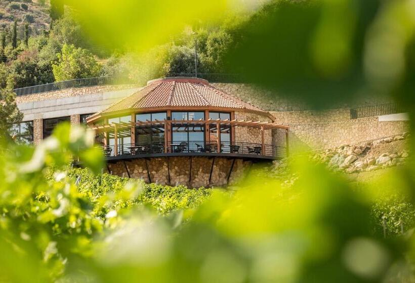 فندق Gillham Vineyard