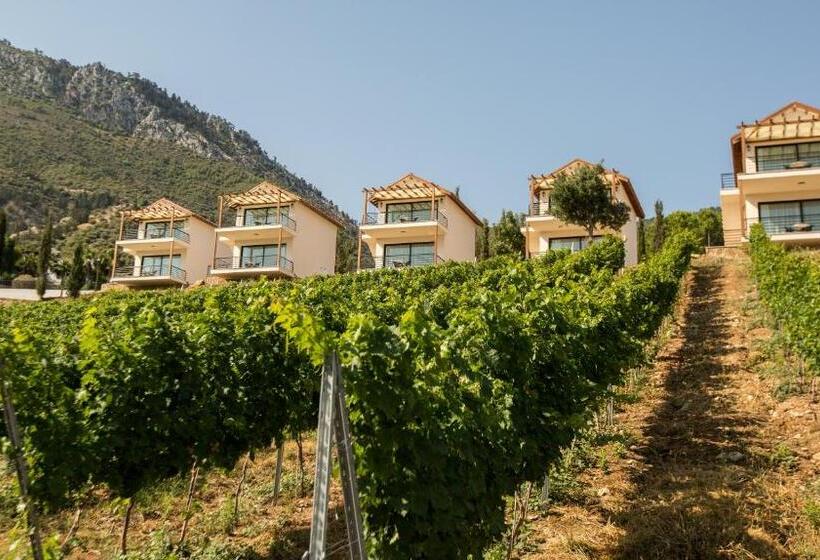 فندق Gillham Vineyard