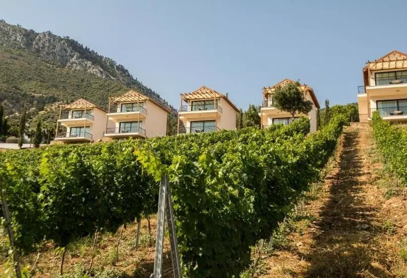 ホテル Gillham Vineyard