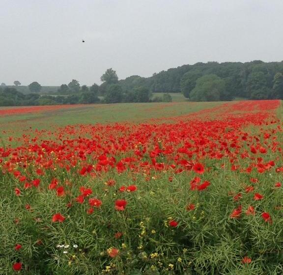 Отель La Caroline