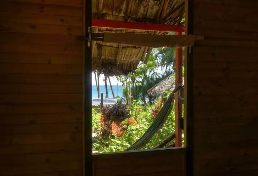 ホテル Pijiba Lodge