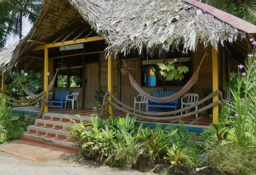 ホテル Pijiba Lodge