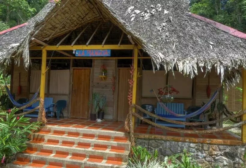 ホテル Pijiba Lodge