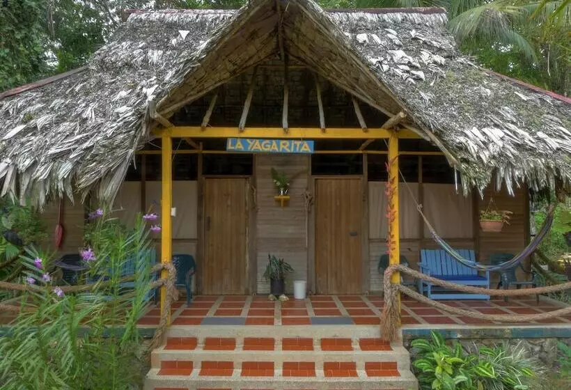 ホテル Pijiba Lodge