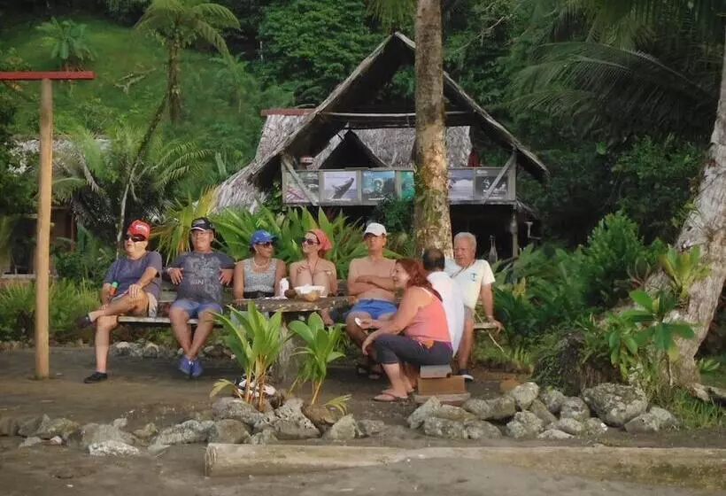 ホテル Pijiba Lodge