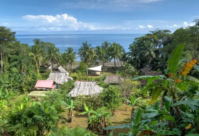ホテル Pijiba Lodge