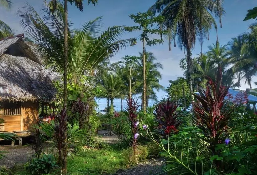 ホテル Pijiba Lodge