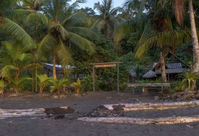 ホテル Pijiba Lodge