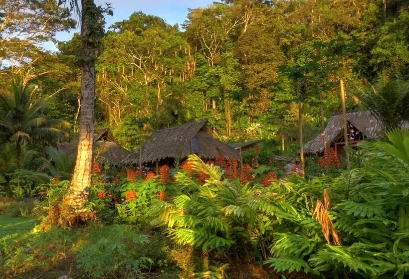 ホテル Pijiba Lodge