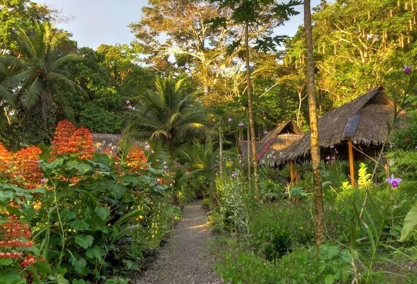 ホテル Pijiba Lodge