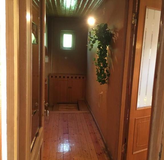 تختخواب و صبحانه Guest House Raisa