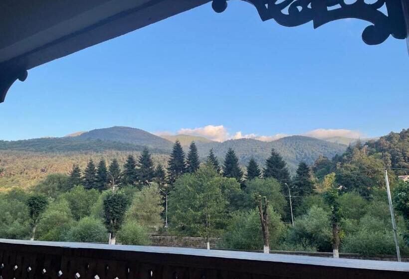 تختخواب و صبحانه Guest House Raisa