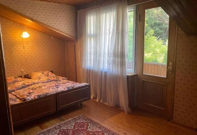 Aamiaismajoitus (B&B) Guest House Raisa