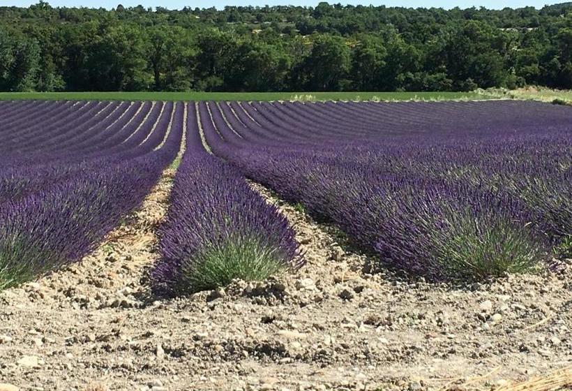 住宿加早餐 Jac Soul Restaurant & Chambres D Hotes