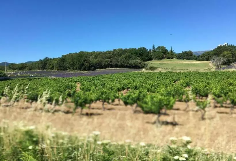 ベッドアンドブレックファースト Jac Soul Restaurant & Chambres D Hotes