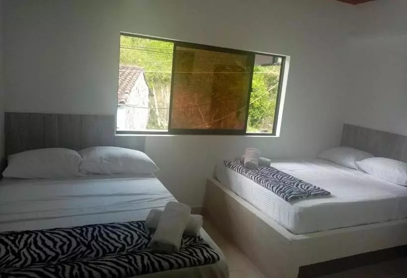 Hotelli Jireh   San Carlos Ant