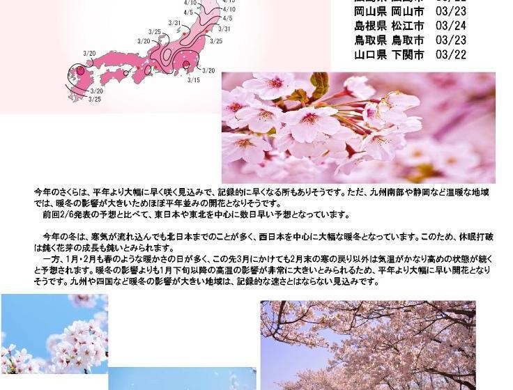 Myth Resort  ホテル マイス リゾート  Adult Only