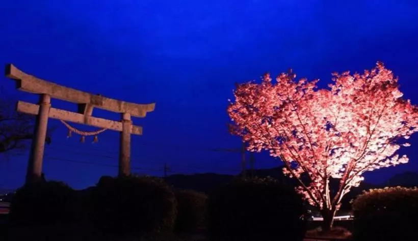 Myth Resort  ホテル マイス リゾート  Adult Only