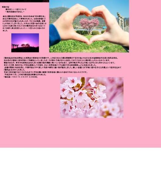 Myth Resort  ホテル マイス リゾート  Adult Only