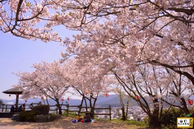 Myth Resort  ホテル マイス リゾート  Adult Only