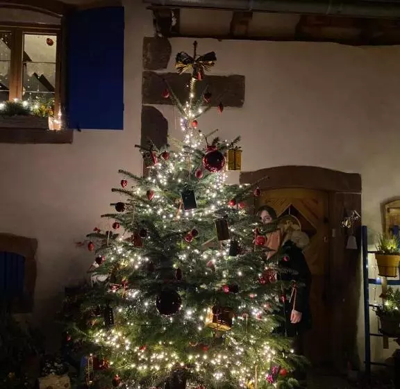 ペンション Le Nid De Cigognes