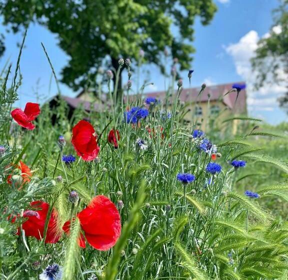 ペンション Penzion Apartmány Adamčík