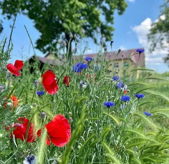 Majatalo Penzion Apartmány Adamčík