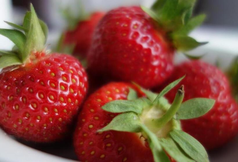 Пансион Wassermühle Eldingen