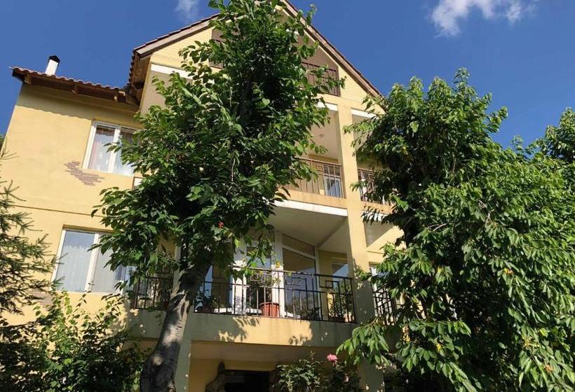 بنسيون Yellow Guest House