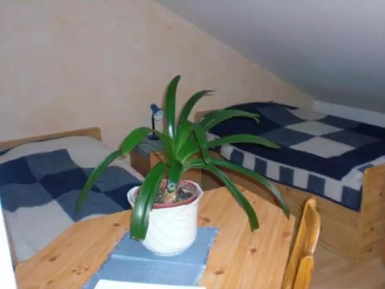 Hotelli Bergkristall