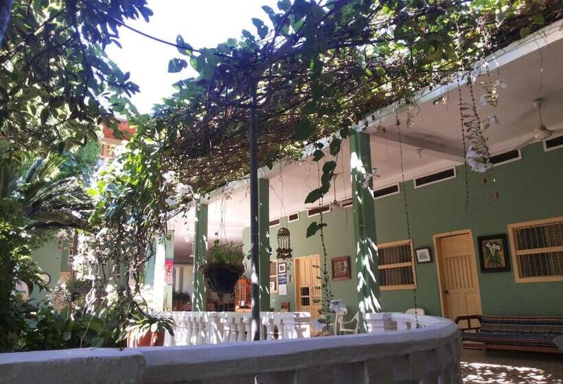 Отель Villa De Las Palmas