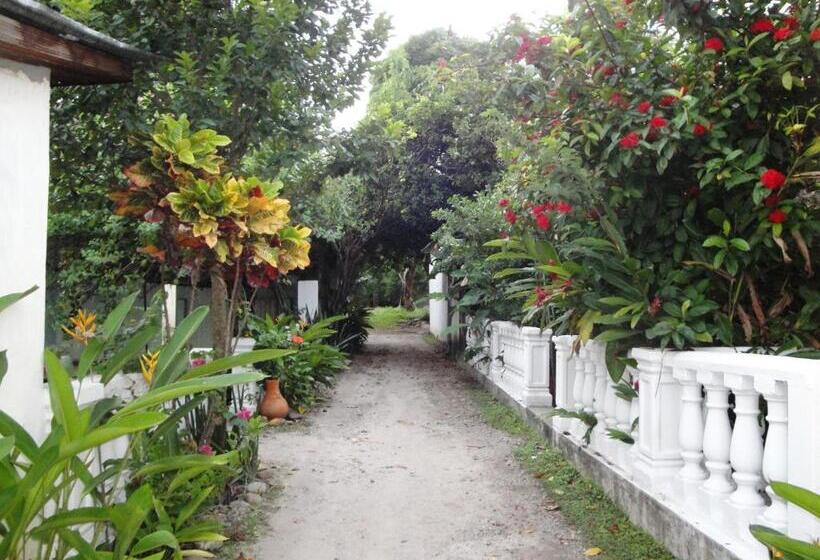 Отель Villa De Las Palmas