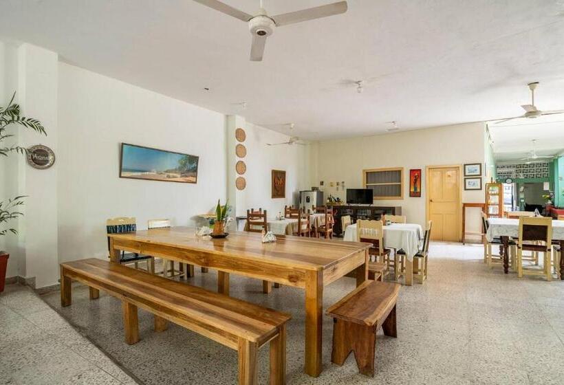 Отель Villa De Las Palmas