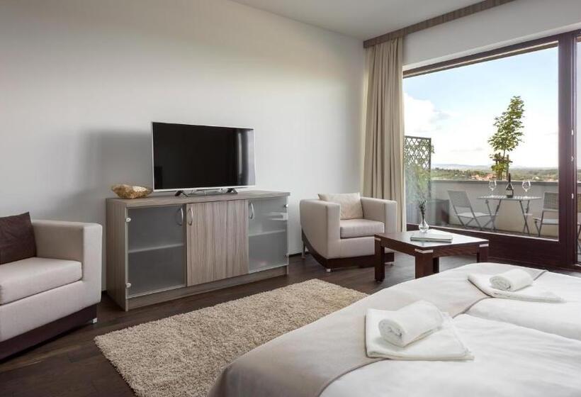 פנסיון Henye Vendégház