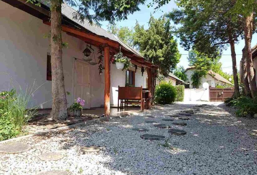 פנסיון Kúti Vendégház