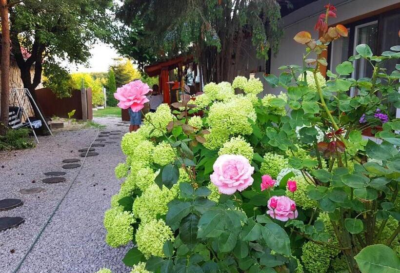 פנסיון Kúti Vendégház