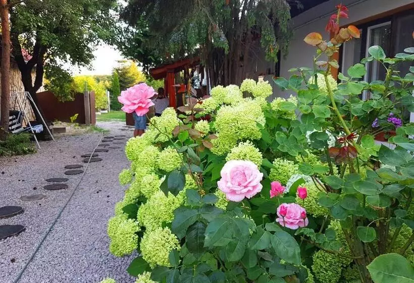 ペンション Kúti Vendégház