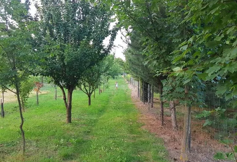 ペンション Kúti Vendégház