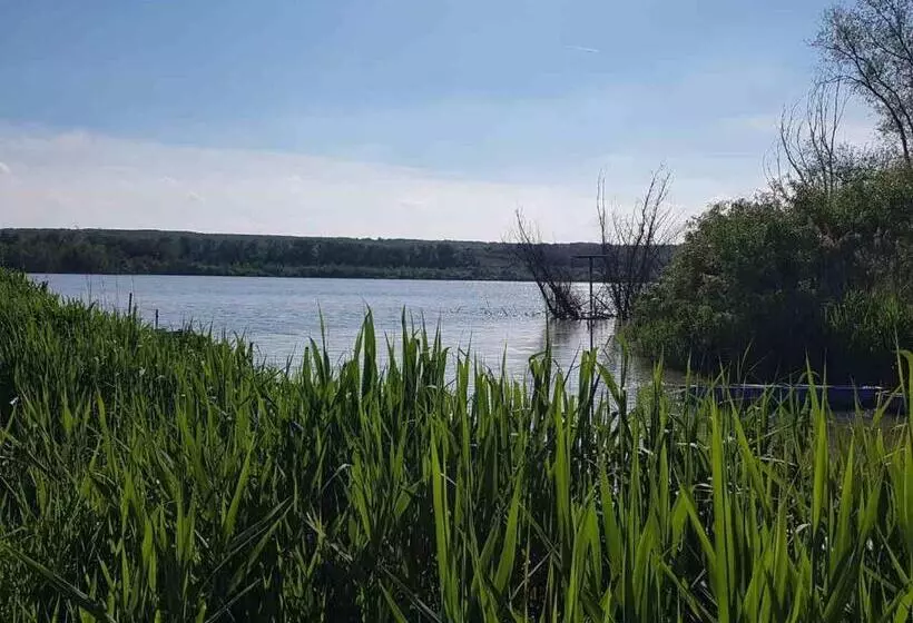 ペンション Kúti Vendégház