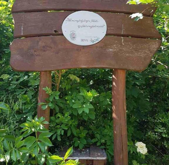 פנסיון Kúti Vendégház