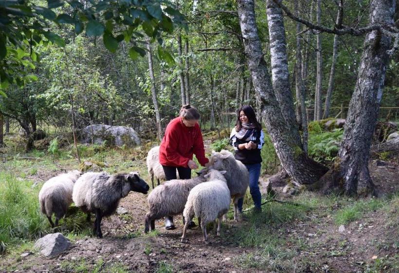 Pensão Nukula Guestrooms