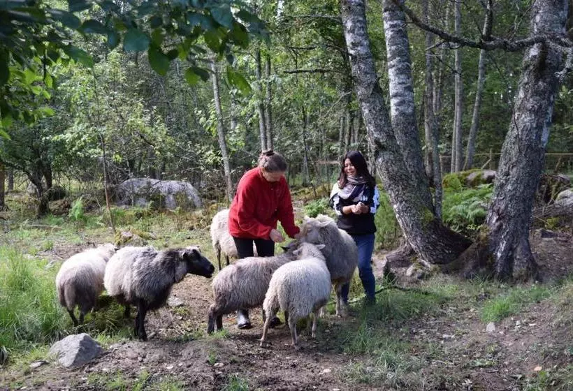 Majatalo Nukula Guestrooms