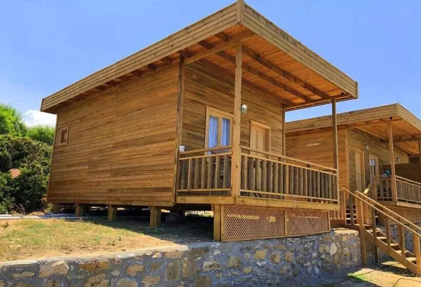 ペンション Zambak Holiday Village