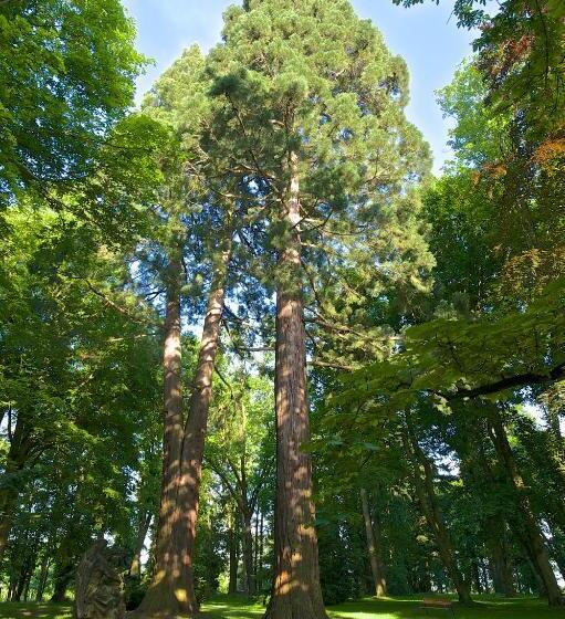 Zámek Ratměřice   Hotel & Resort